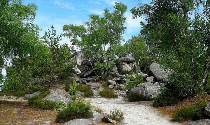 sentier en pleine nature