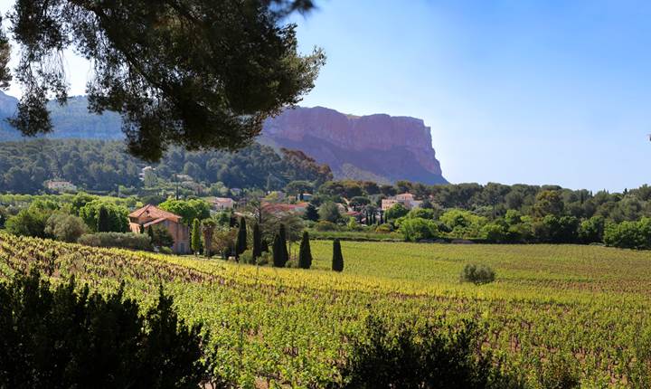 Vignoble Cassis - Youcamp Outdoor