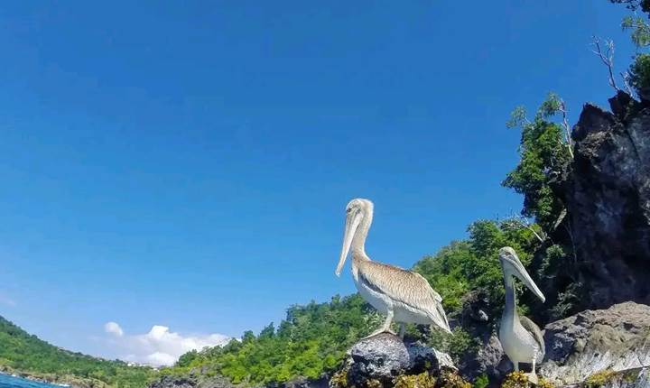 balade-privee-en-catamaran-baie-des-saintes
