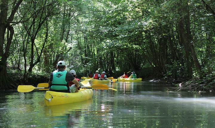 paddle, loisirs de pleine nature