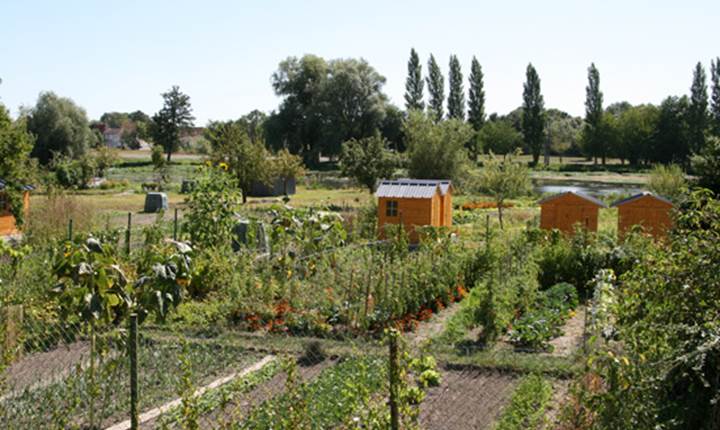 les Hardines de Péronne