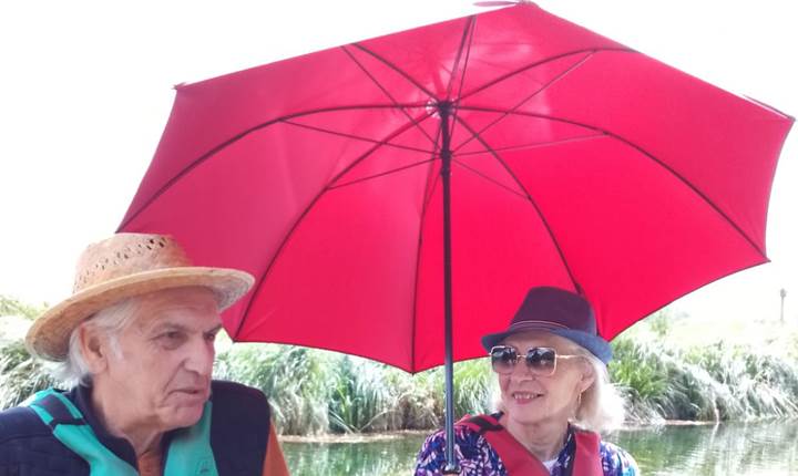 guided tours just for you