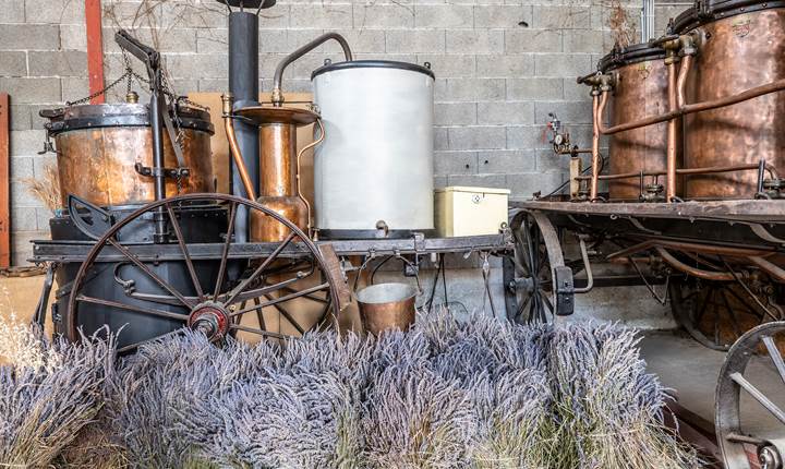 Alambics anciens exposés dans la distillerie