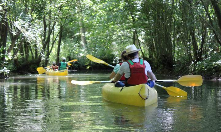 la riviere Ancre à Bonnay, affluent de la Somme
