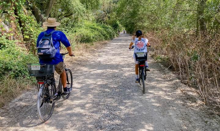 Randonne´e a` ve´lo e´lectrique en Camargue - Immersion au cœur de la nature