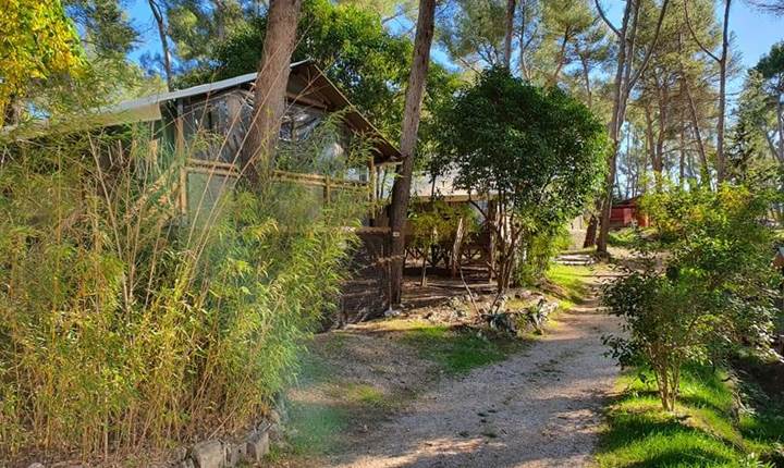 ECO LODGE GARLABAN