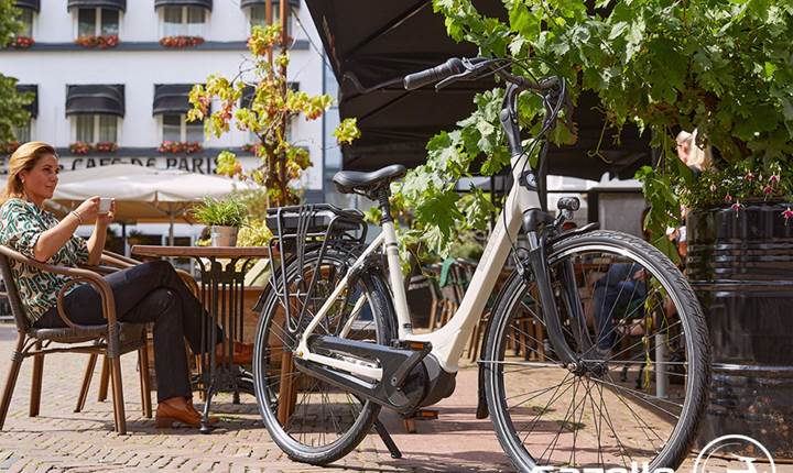 gazelle_stationsbees_cafe