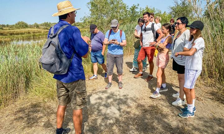 Visite guide´e en Camargue - De´couverte de la faune et de la flore
