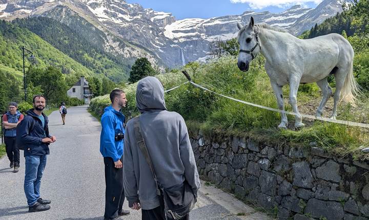 Le cirque de Gavarnie et ses chevaux