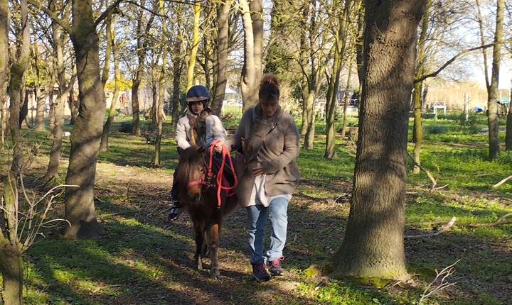 IMG_20241227_112029 - Copie
