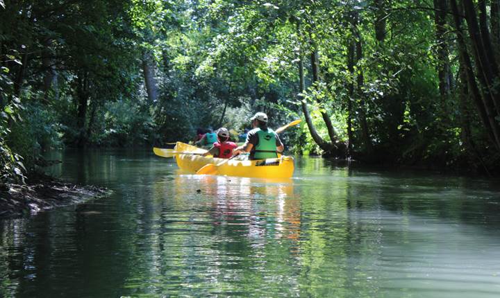 l'Hallue dans le val de Somme