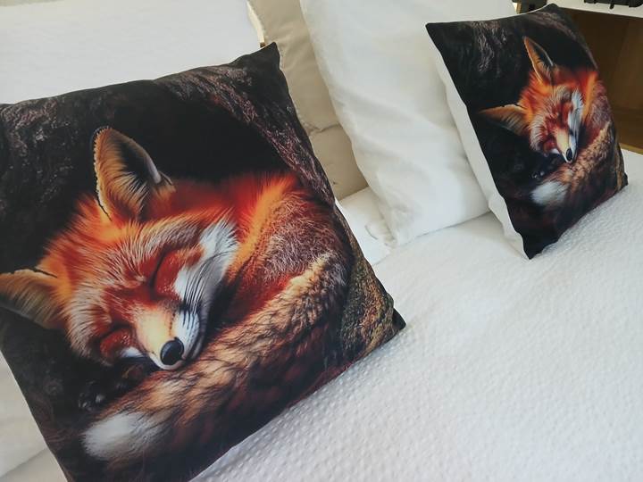 "Le Loft du Renard " endormi