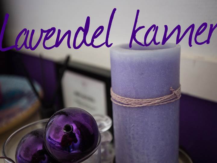Lavendel 1