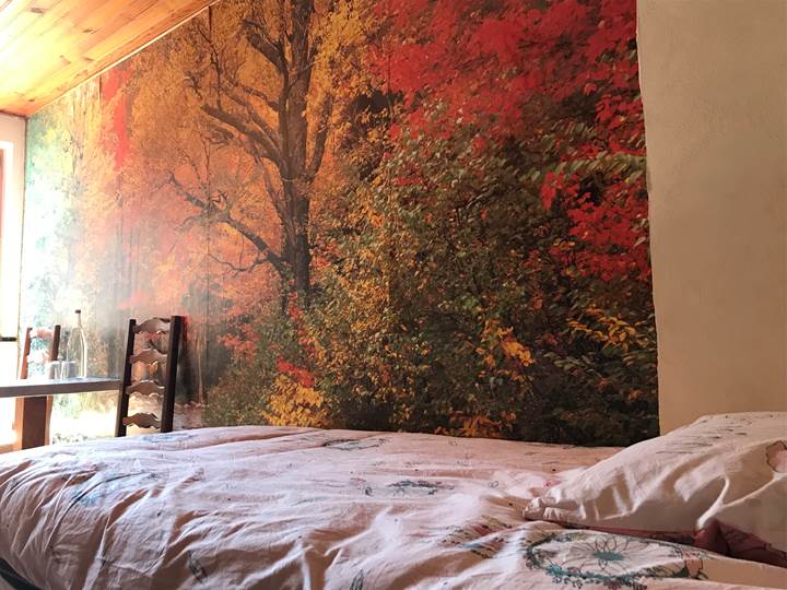 petit lit et petits (h)êtres de la forêt