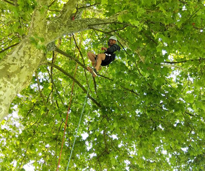 IMG_20190823_110714-presta