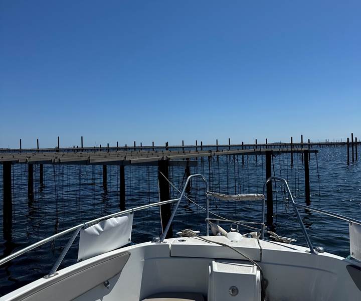 parc à huitres-presta