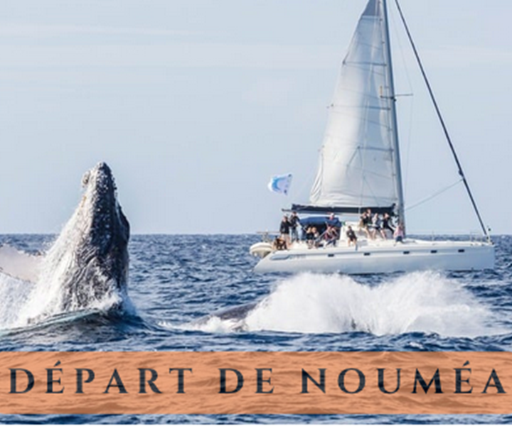 Capture d’e´cran 2024-06-21 a` 09.30.55-presta