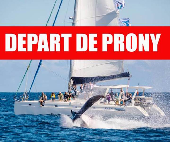 Baleine de´part de prony-presta