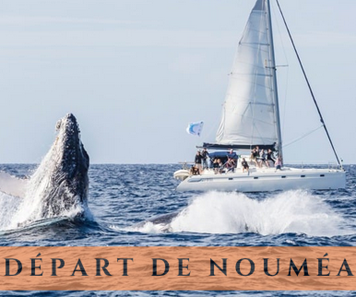 Capture d’e´cran 2024-06-21 a` 09.37.08-presta