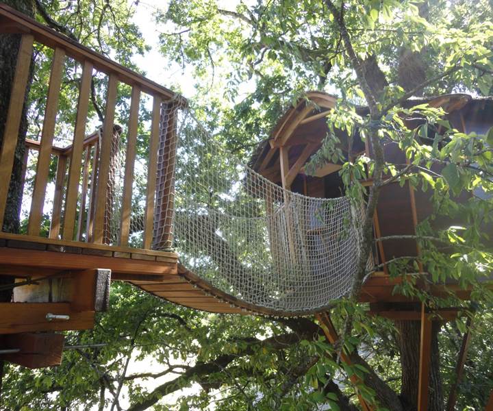 Pont de singe-presta