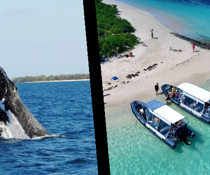 Capture d’e´cran 2025-06-02 a` 11.17.58-presta