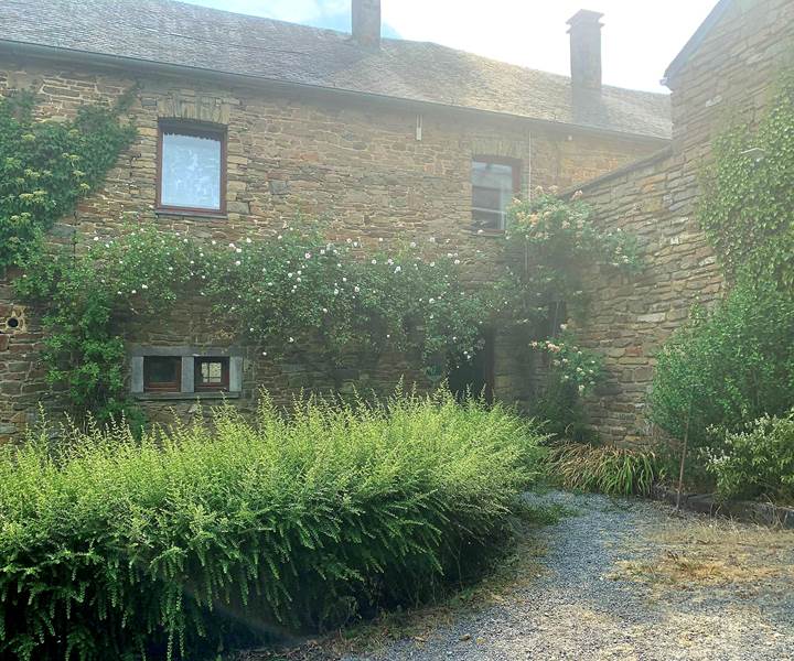 received_997351161697225-presta