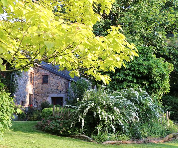 fullsizeoutput_1afe-presta