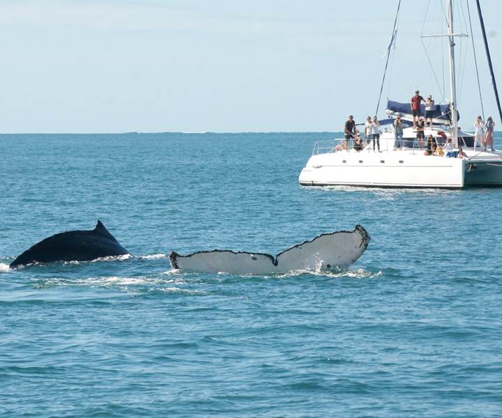 299683451_5405858572873042_1427667188855261237_n-presta