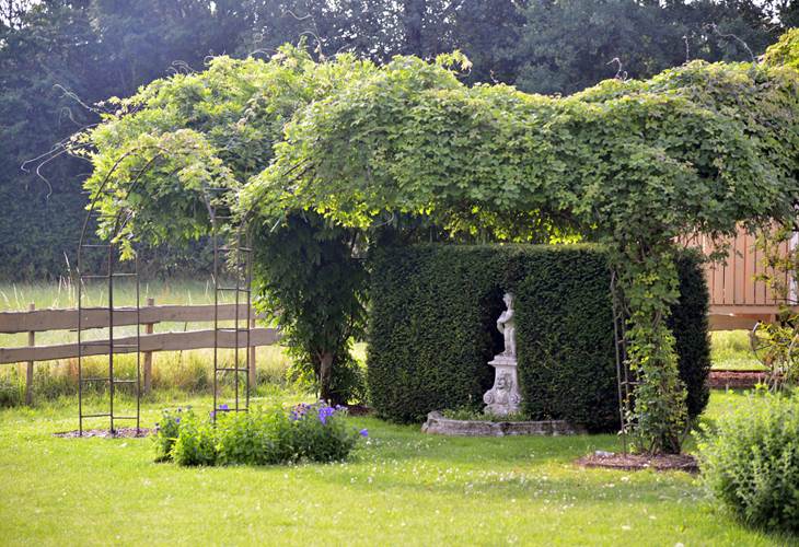 Insolites Chimay jardin