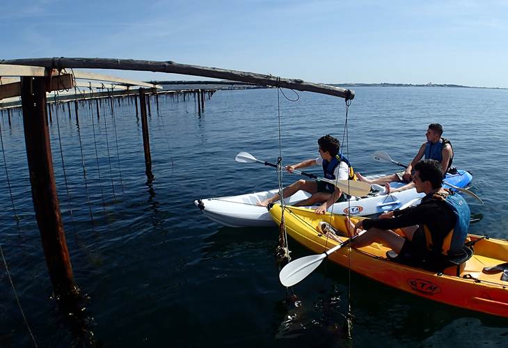 Autour des parcs à huîtres de la lagune de Thau en kayak