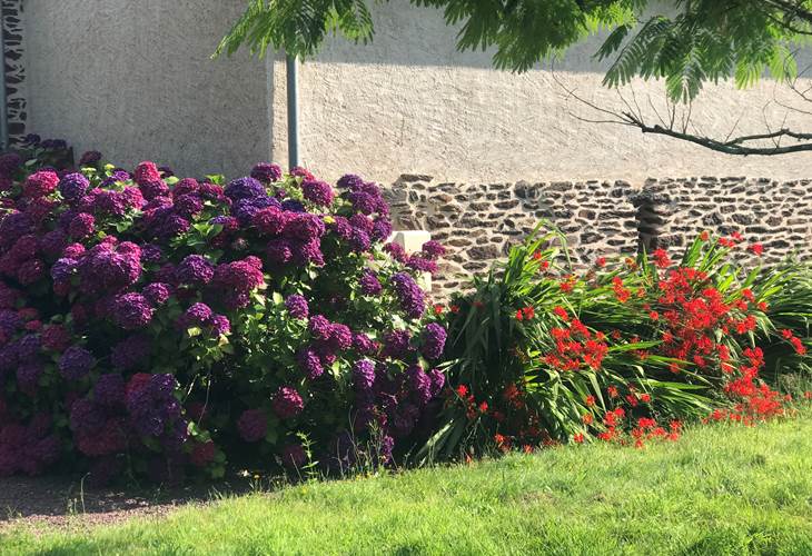 Jardin