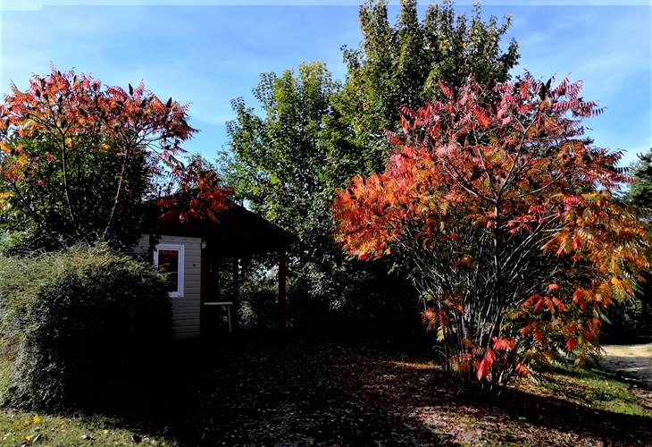 photo automne