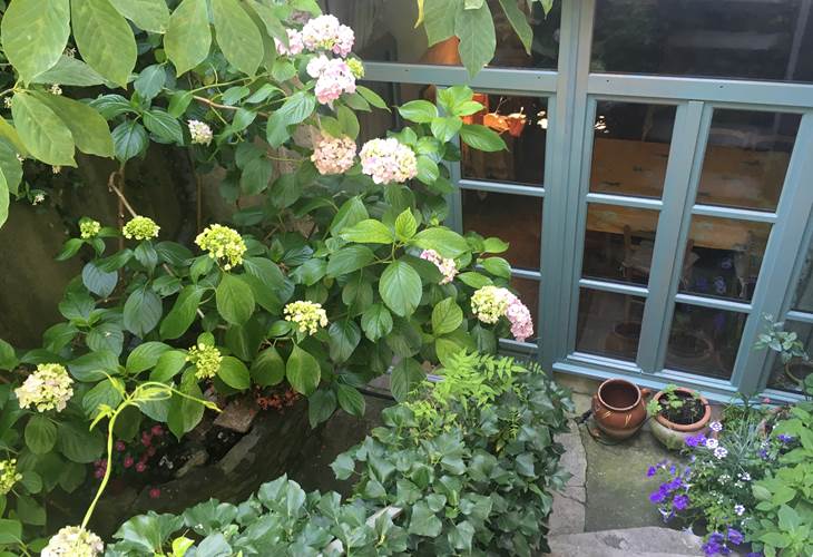 IMG_4765
