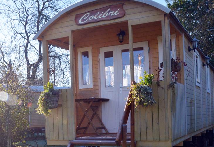 Insolites Chimay Colibri hiver