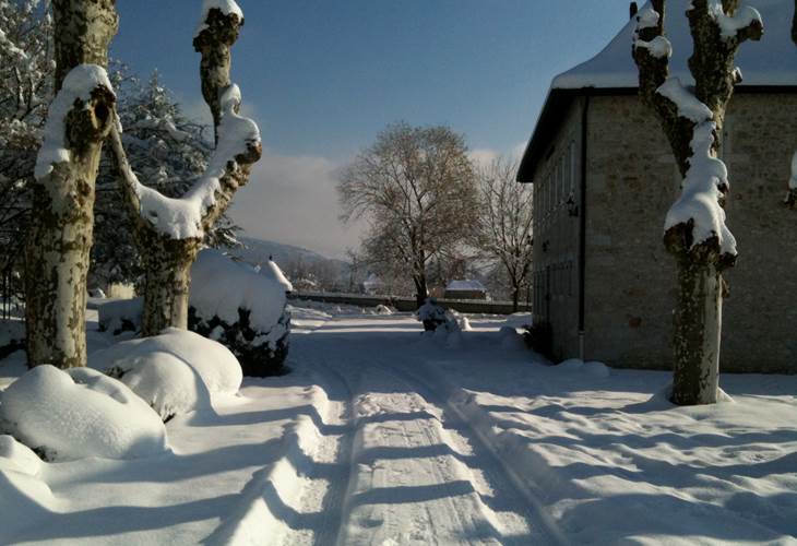 Allée en hiver