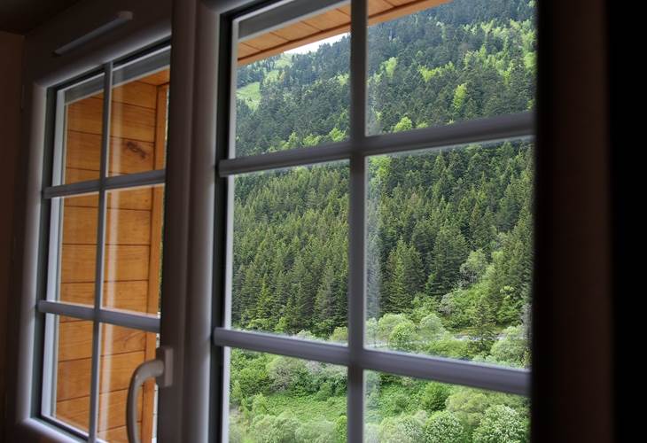 Vue exceptionnelle sur la forêt