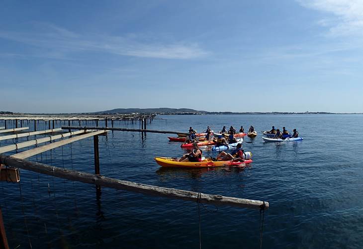 Autour des parcs à huîtres de la lagune de Thau en kayak de mer