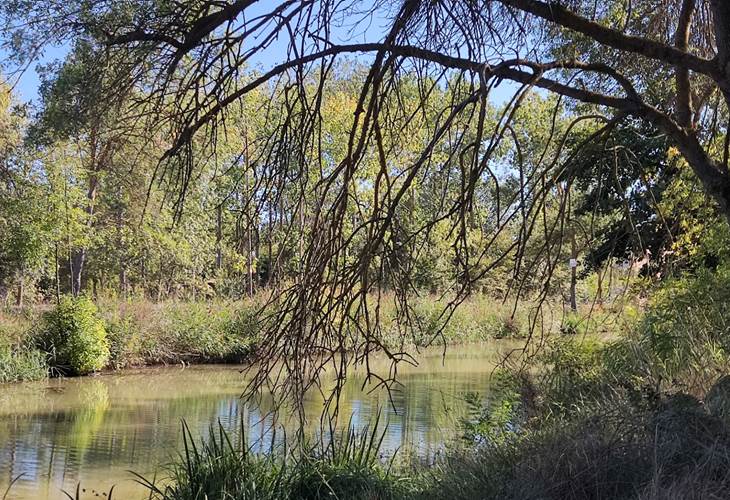 Le long du Canal du Midi