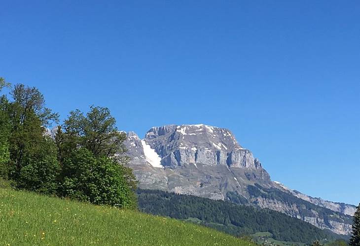 Vue depuis l'arrière du chalet