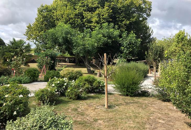 vue sur le parc