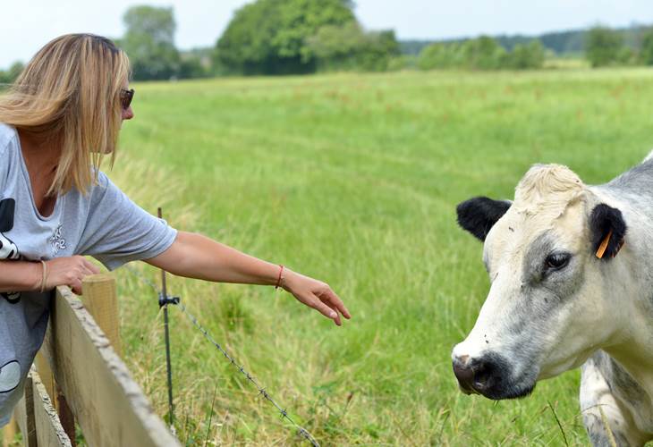 Insolites Chimay vue sur campagne (2)