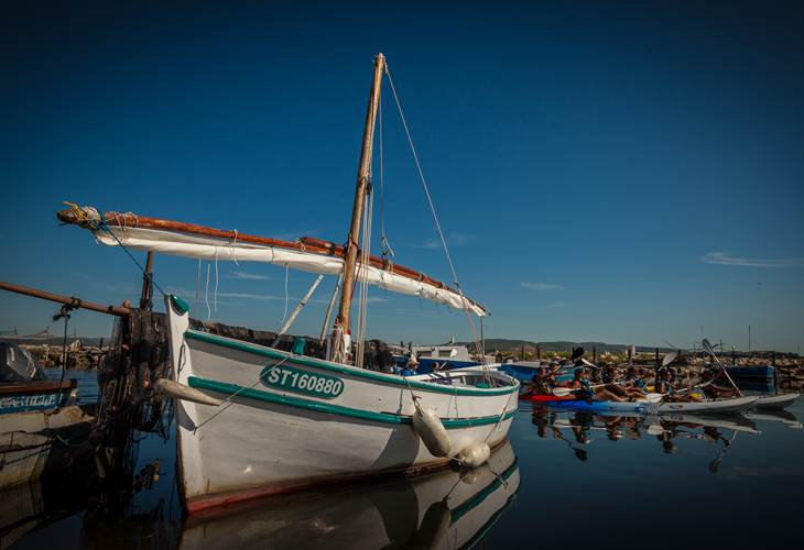 Découverte de bateaux traditionnels sur la lagune de Thau