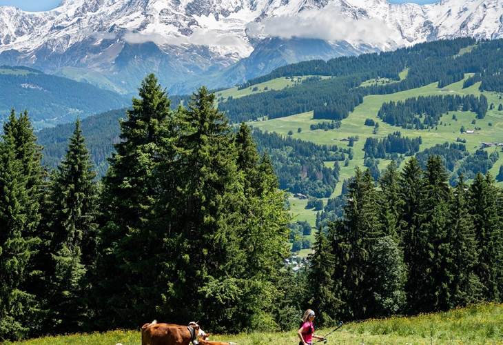 les balades avec une vue à couper le souffle