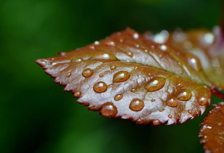 jour_de_pluie