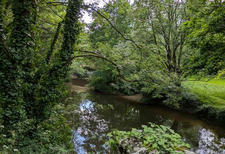 Vendée - près Aizenay