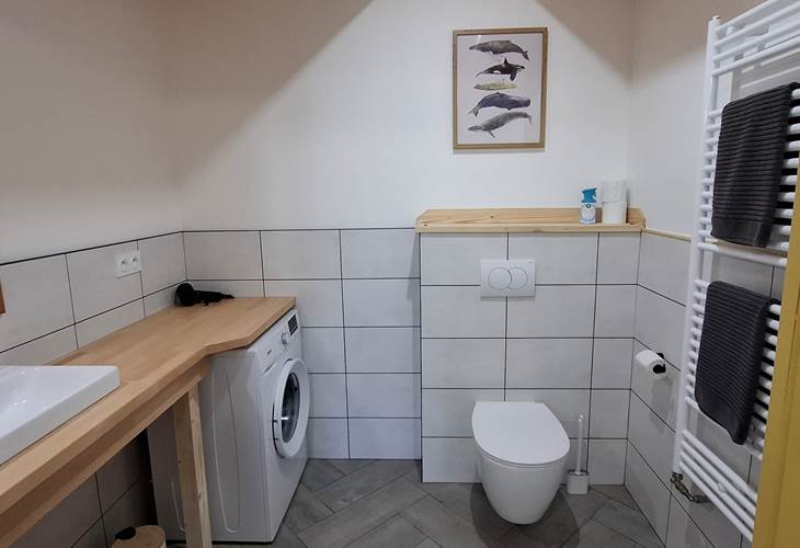 Salle de bain 2 - Douche + wc + lavabo + machine à laver