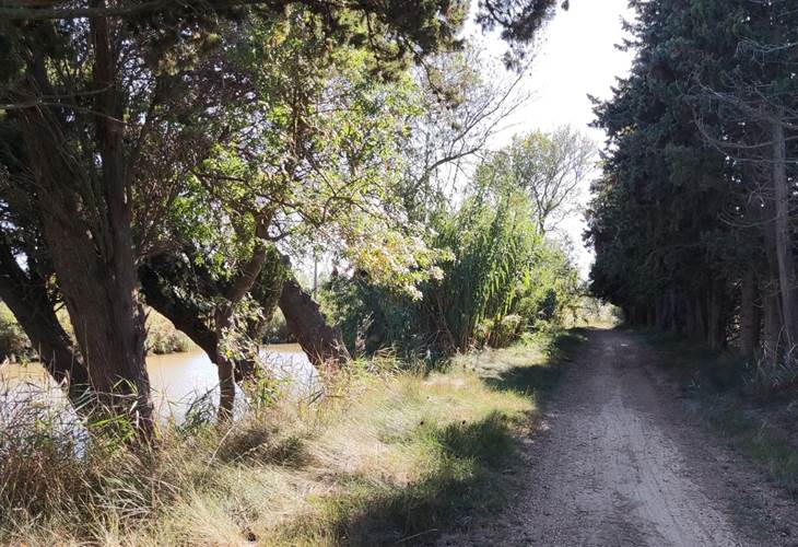 Le chemin de halage à Vias-plage
