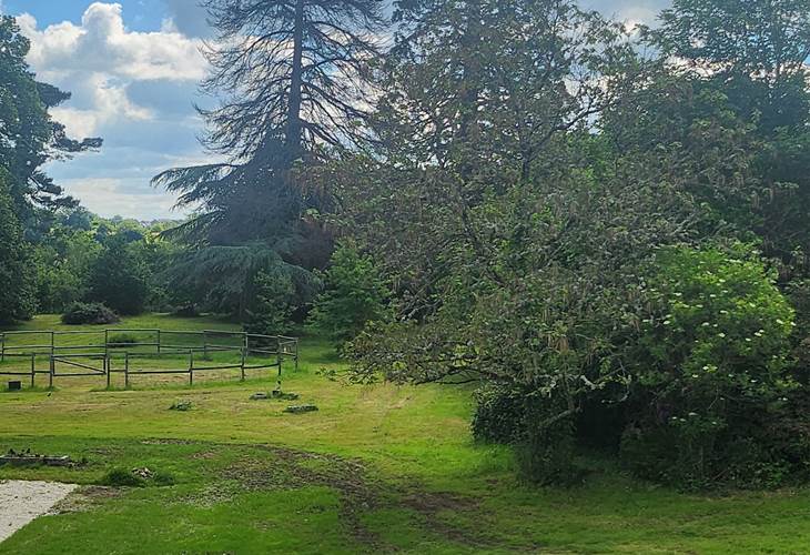 VUE SUR LE JARDIN DEPUIS TOUTES LES CHAMBRES