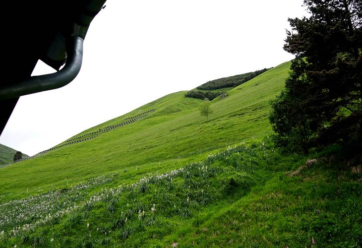 Vue sur la nature pyrénéenne