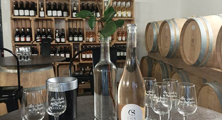 image degustation (1)